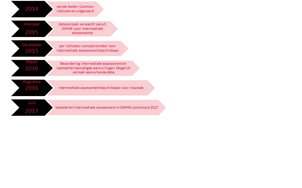 Schema intermediate assessment